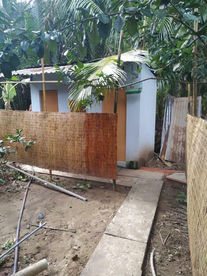 Mecong Homestay Ben Tre Extérieur photo