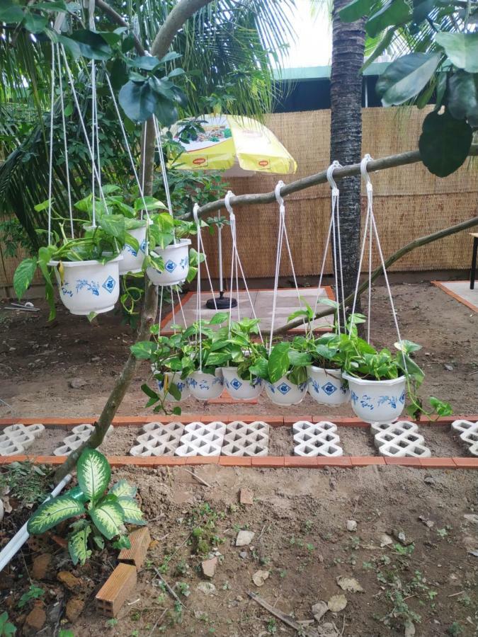 Mecong Homestay Ben Tre Extérieur photo